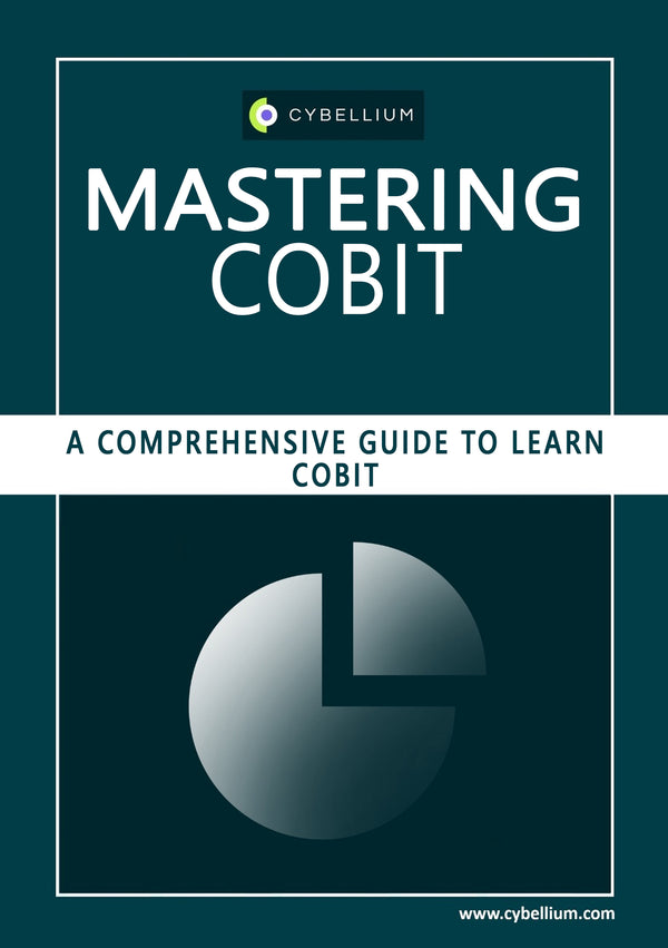 Mastering COBIT