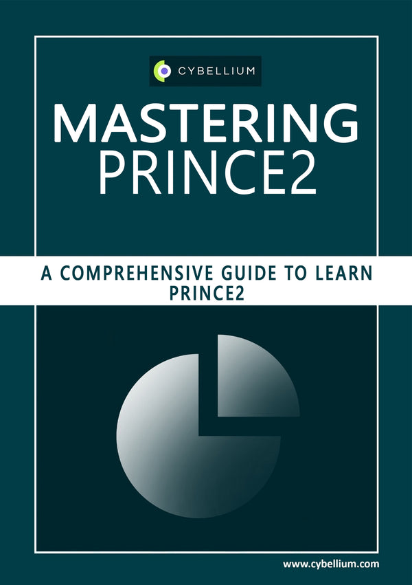 Mastering Prince2
